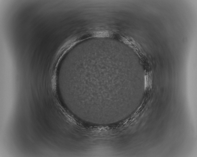 X0000116600243200912181152
