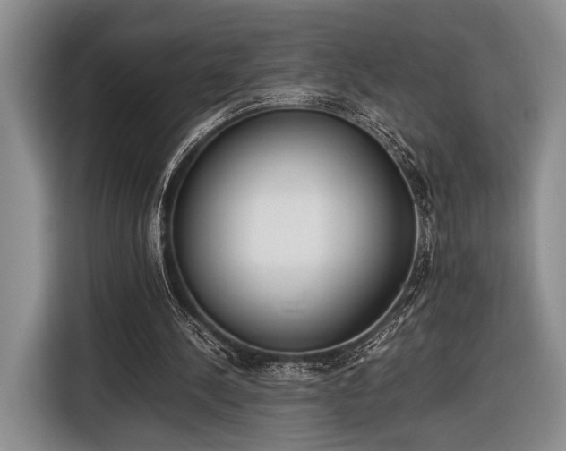 X0000116600244200912181152