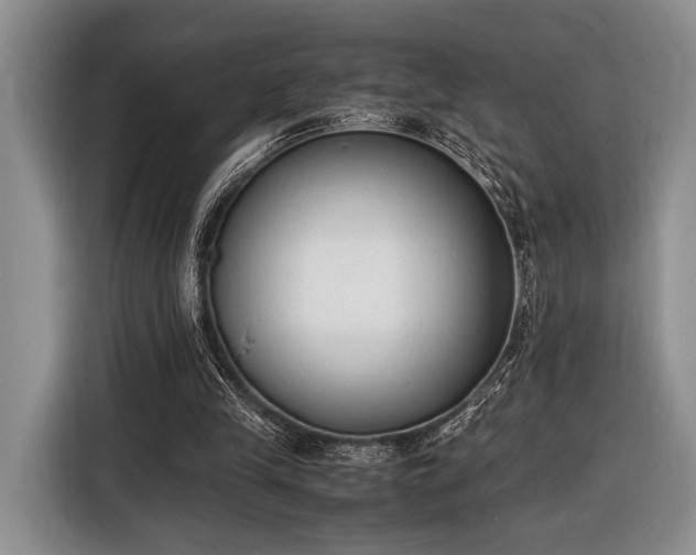 X0000116600245200912181152