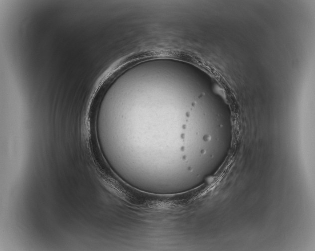 X0000116600246200912181152