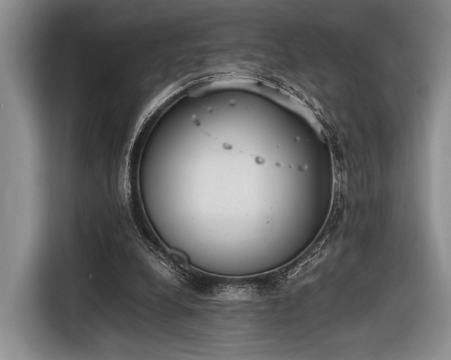 X0000116600248200912181152
