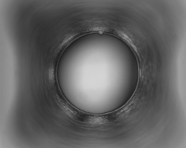 X0000116600249200912181152