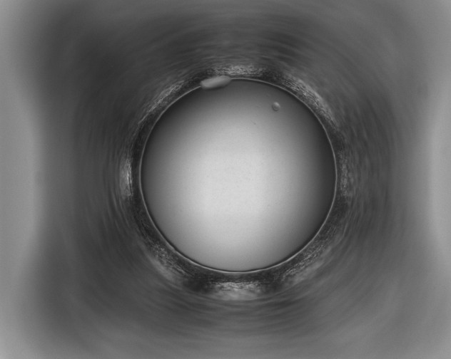 X0000116600251200912181152