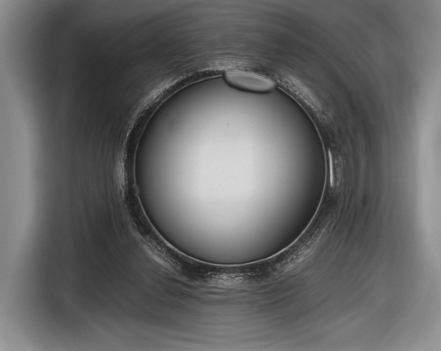 X0000116600252200912181152