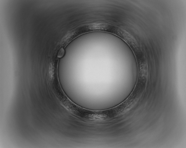 X0000116600255200912181152