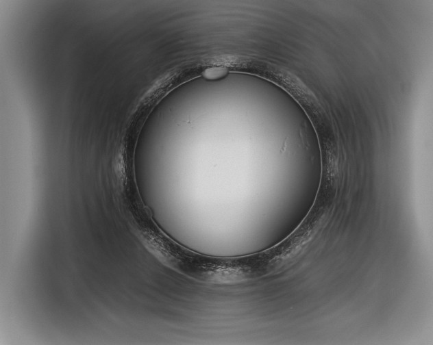 X0000116600256200912181152