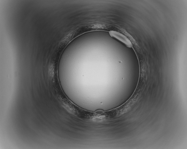 X0000116600257200912181152