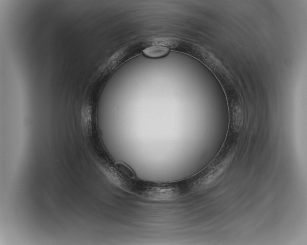 X0000116600260200912181152