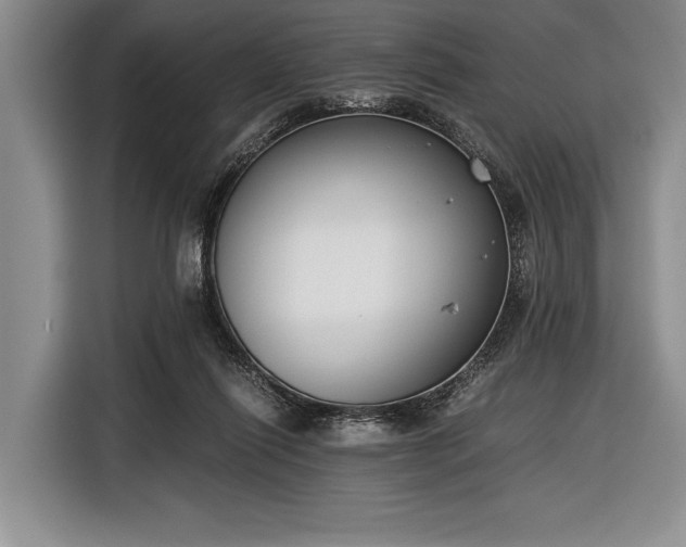 X0000116600262200912181152