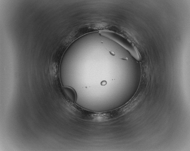 X0000116600273200912181152