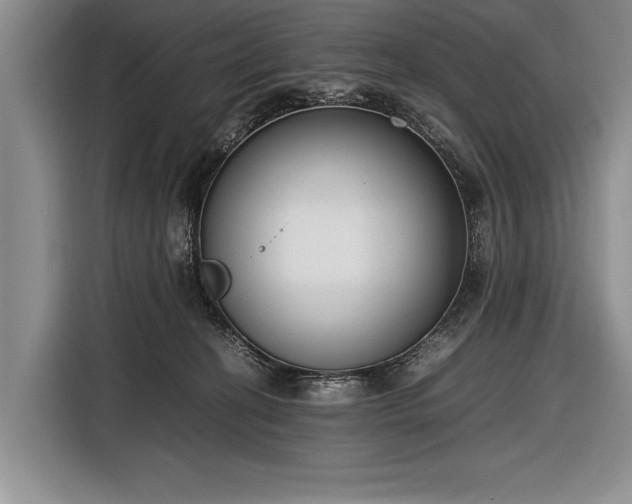X0000116600274200912181152