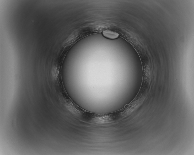 X0000116600278200912181152