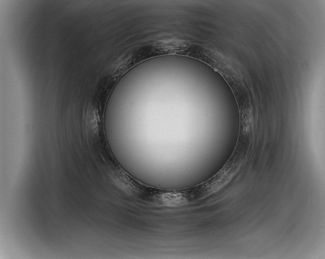X0000116600279200912181152