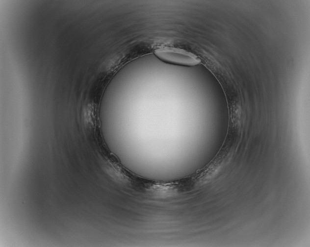 X0000116600280200912181152