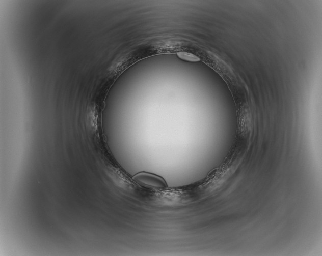 X0000116600282200912181152