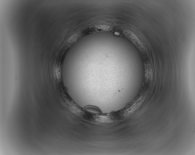 X0000116600285200912181152