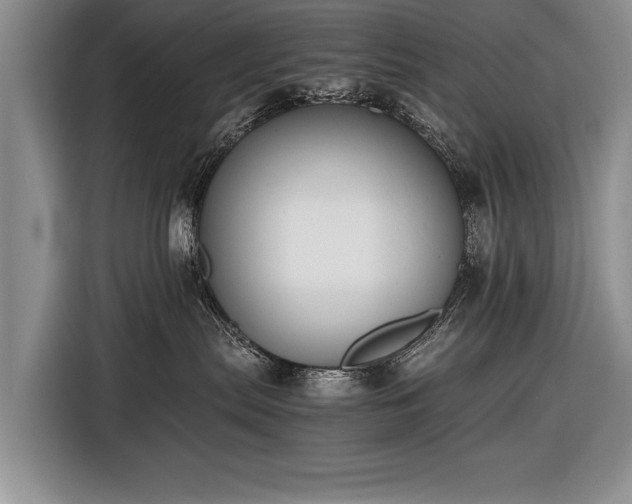 X0000116600287200912181152