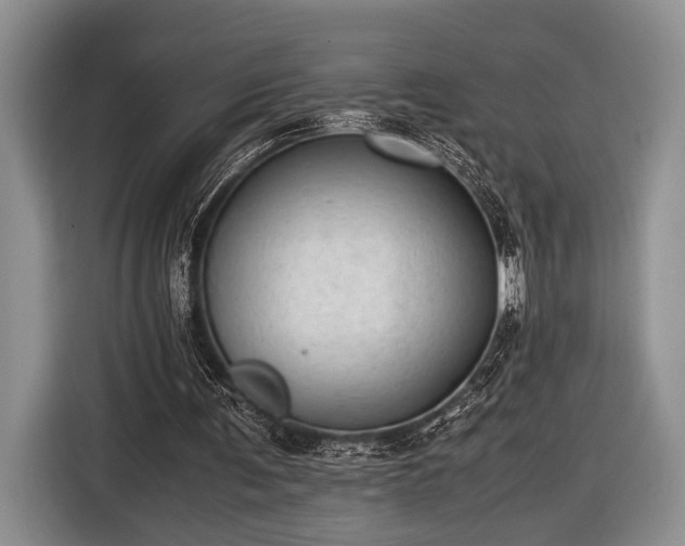 X0000116600291200912181151