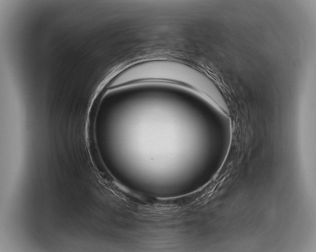 X0000116600292200912181151