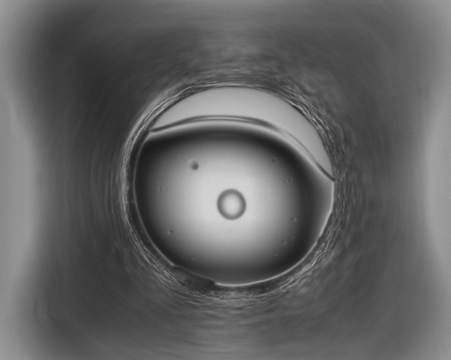 X0000116600293200912181151