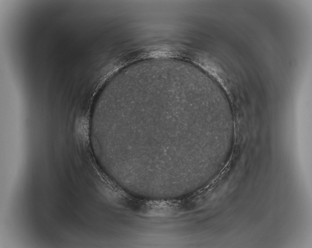 X0000116600297200912181151