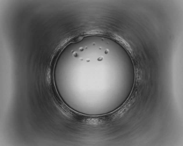 X0000116600298200912181151