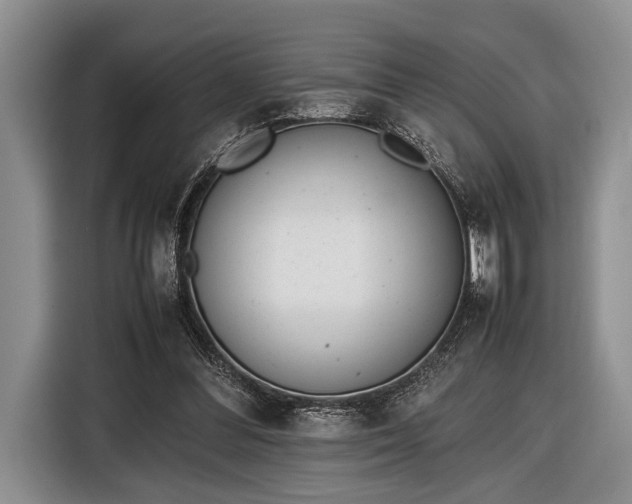 X0000116600300200912181151