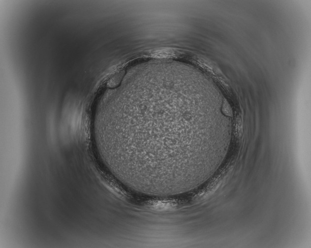X0000116600303200912181151