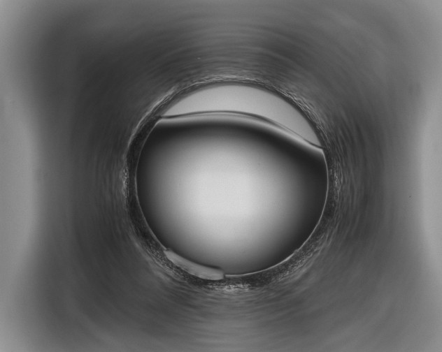 X0000116600304200912181151