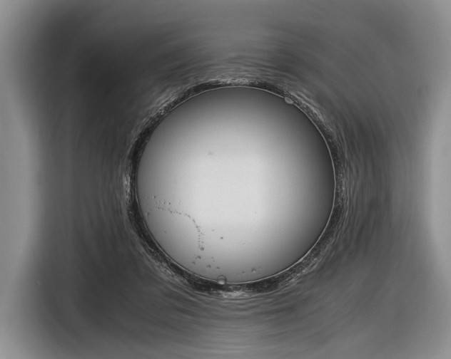X0000116600309200912181151