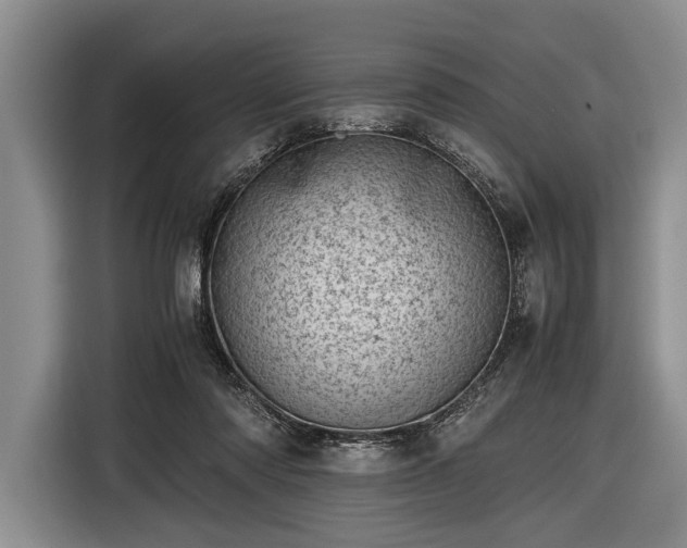 X0000116600310200912181151
