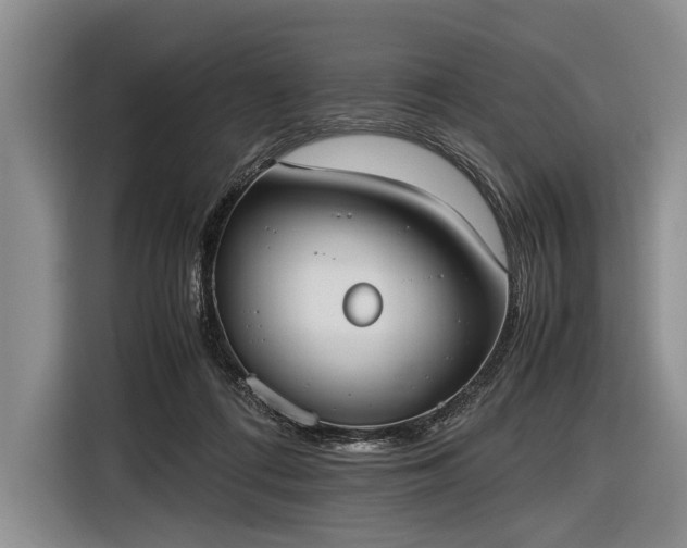 X0000116600312200912181151
