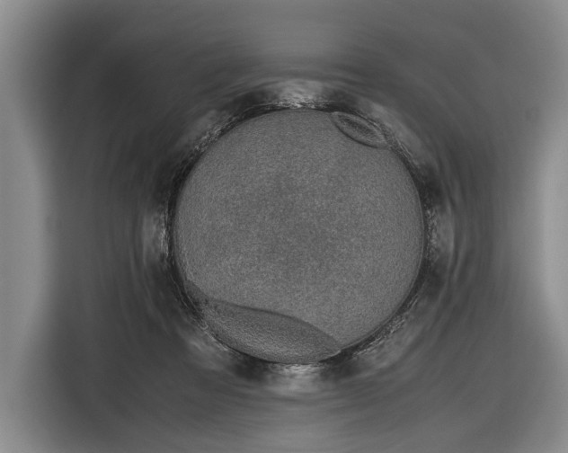 X0000116600313200912181151