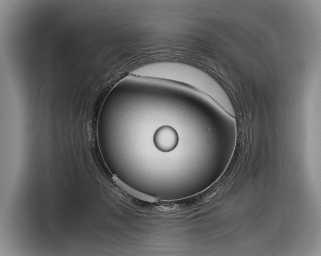 X0000116600317200912181151