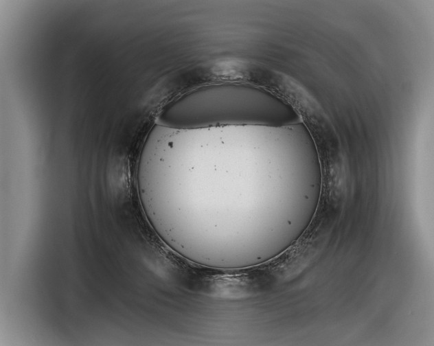 X0000116600320200912181151