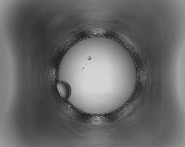 X0000116600321200912181151