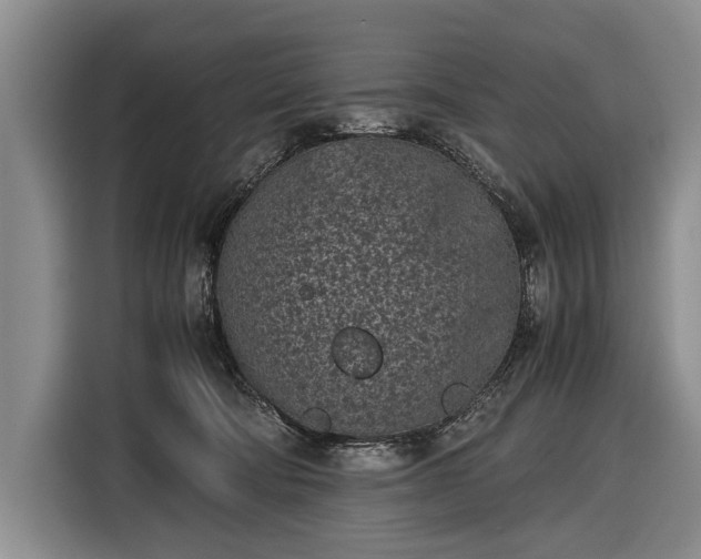 X0000116600322200912181151