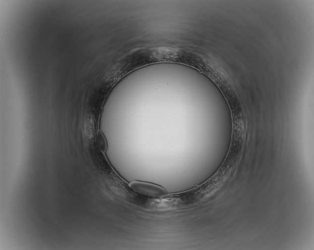 X0000116600323200912181151