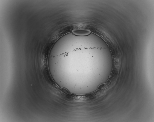 X0000116600324200912181151