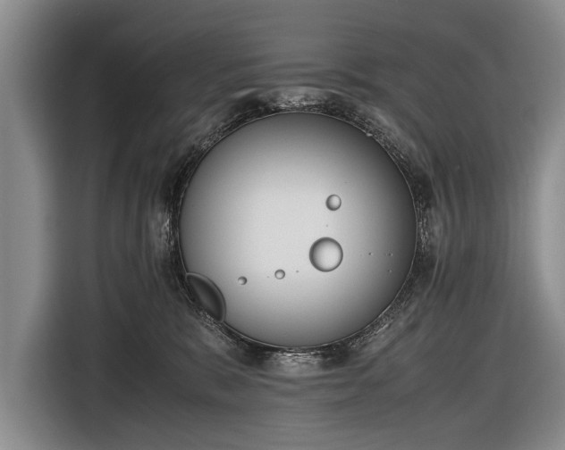 X0000116600327200912181151