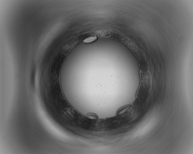X0000116600335200912181151