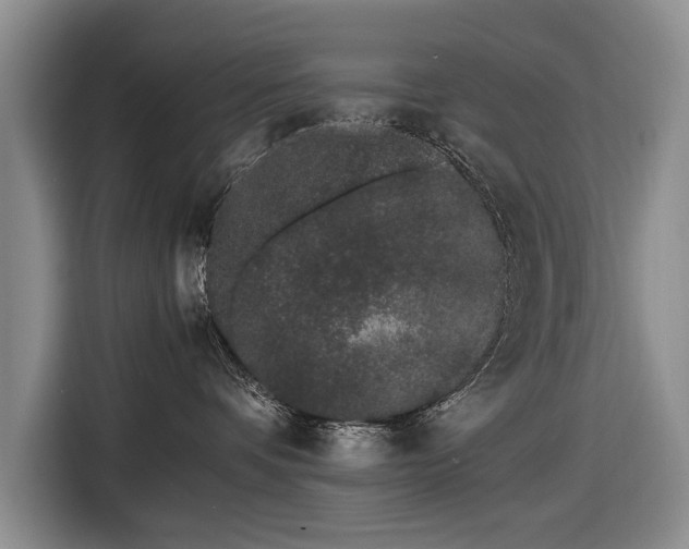 X0000116600336200912181151