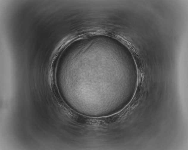 X0000116600339200912181150
