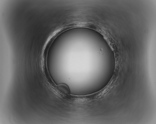 X0000116600342200912181150