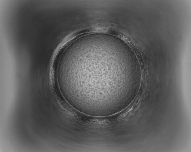 X0000116600343200912181150