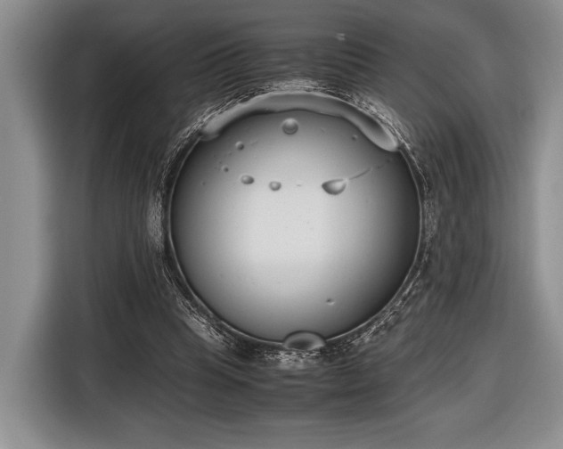 X0000116600345200912181150