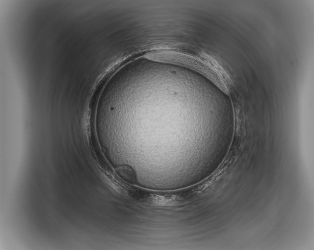 X0000116600346200912181150