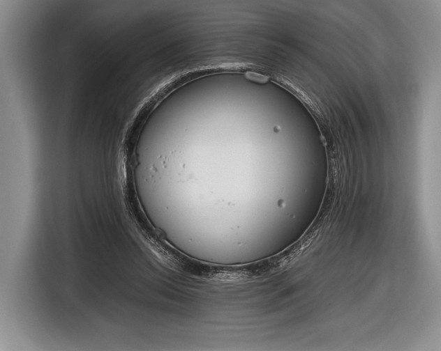 X0000116600350200912181150