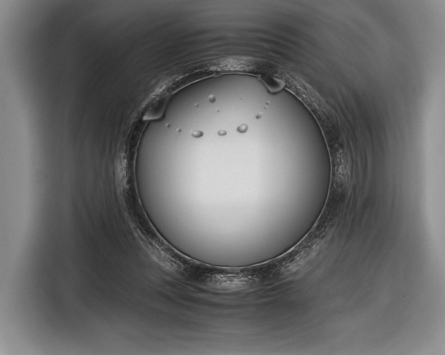 X0000116600351200912181150