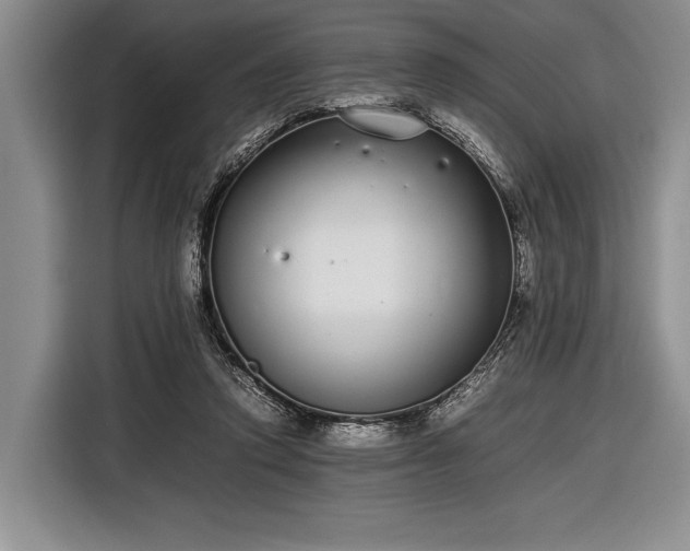 X0000116600354200912181150